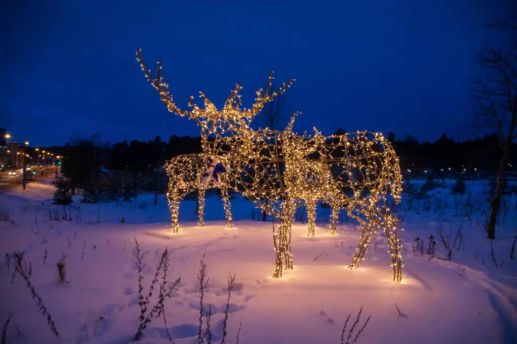 Снежное Рождество в этом году будет почти на всей территории Финляндии