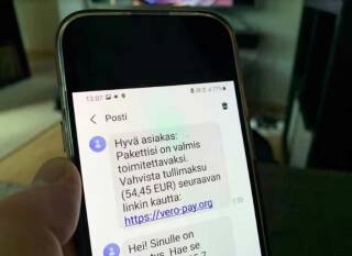 Полиция Финляндии помогла закрыть одну из крупнейших международных фишинг-платформ