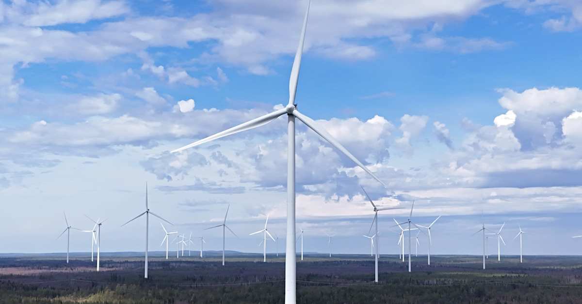 Ассоциация ветроэнергетики: в этом году ветроэнергия превысит гидроэнергию по производству электроэнергии