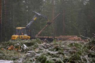Финская древесина сильно подорожала после начала войны в Украине